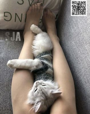 郭艳第二次人生起床找手机_超清电影免费在线