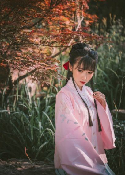 幻想森林电视剧在线观看_蓝光高清在线