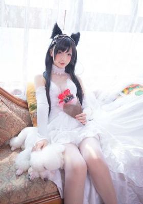 死神动漫全集在线观看免费_1080免费在线观看